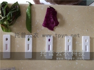 轉(zhuǎn)基因檢測(cè)試紙