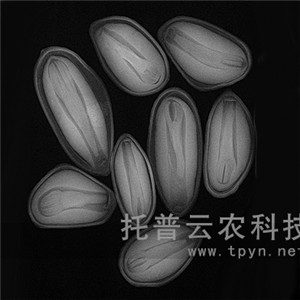 農(nóng)用X光機(jī)