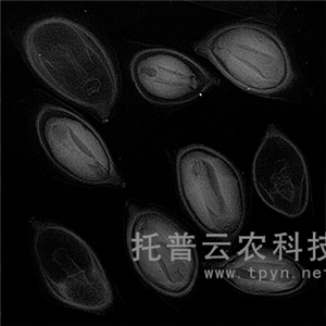 農(nóng)用X光機(jī)