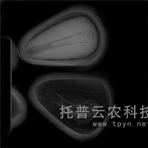 農(nóng)用X光機(jī)