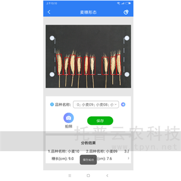 麥穗形態(tài)測量儀