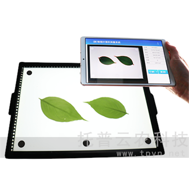 智能葉面積測量系統(tǒng)