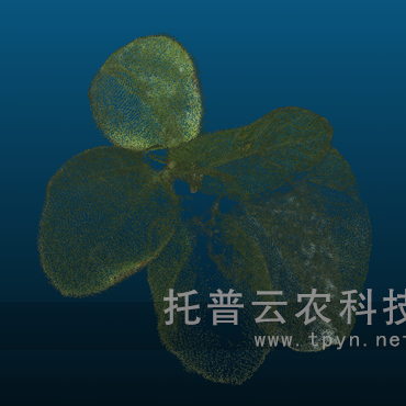 溫室型高通量植物表型采集分析平臺