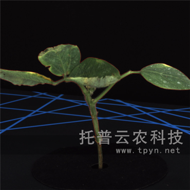 高通量逆境模擬及植物生長監(jiān)測平臺(tái)