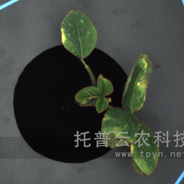 高通量逆境模擬及植物生長監(jiān)測平臺(tái)