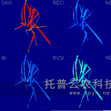 高通量逆境模擬及植物生長監(jiān)測平臺(tái)