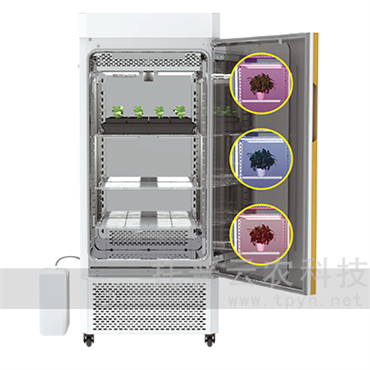 環(huán)控型植物生長表型分析系統(tǒng)