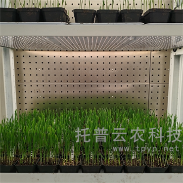 智能人工氣候室