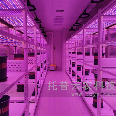 智能人工氣候室