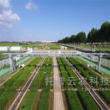 龍門式高通量表型采集分析平臺（地軌式）