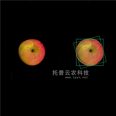 �߹��VƷ�|(zh��)�����x��������