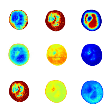 �߹��VƷ�|(zh��)�����x��������