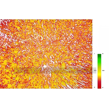 無人機低空巡檢系統(tǒng)(手飛版)