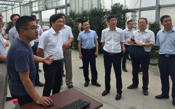 溫嶺曙光農(nóng)場