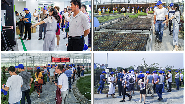 水肥一體化技術應用