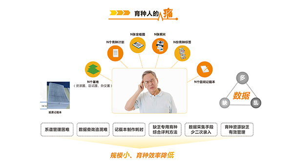 玉米考種系統(tǒng)