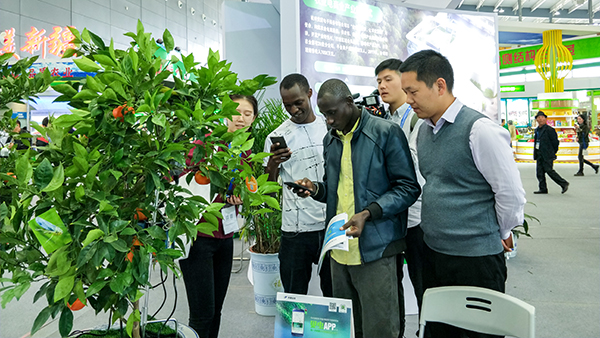 中國國際農(nóng)交會