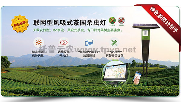 聯(lián)網(wǎng)型風(fēng)吸式茶園殺蟲燈