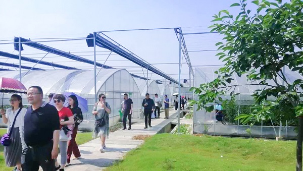 托普云農(nóng)助力青海省農(nóng)機信息化，海西州農(nóng)機中心來杭培訓(xùn)