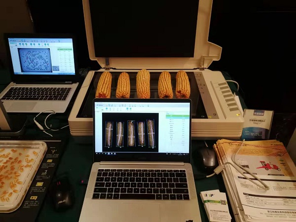 2019年國(guó)家黃淮海區(qū)玉米新品種展示示范觀摩暨品種試驗(yàn)培訓(xùn)班在豫舉行