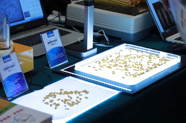 2019年國(guó)家黃淮海區(qū)玉米新品種展示示范觀摩暨品種試驗(yàn)培訓(xùn)班在豫舉行