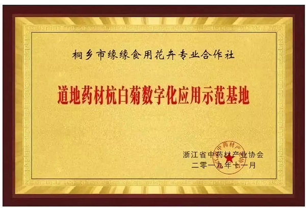 道地藥材數(shù)字化應(yīng)用發(fā)布，杭白菊產(chǎn)業(yè)迎來數(shù)字化變革