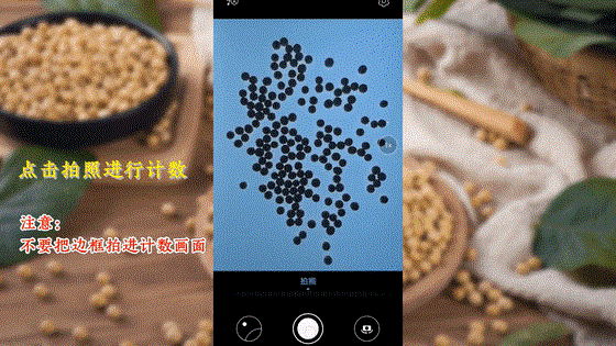 “蟲臉識(shí)別”開啟人工智能產(chǎn)業(yè)應(yīng)用新篇章