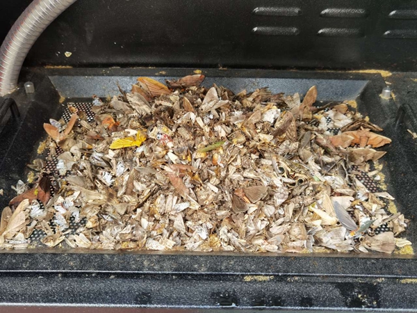 托普云農(nóng)順利完成農(nóng)業(yè)農(nóng)村部“三區(qū)三帶”布防任務(wù)