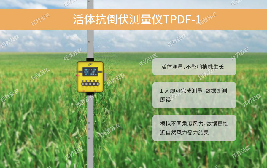 活體抗倒伏測(cè)量?jī)x設(shè)計(jì)亮點(diǎn)