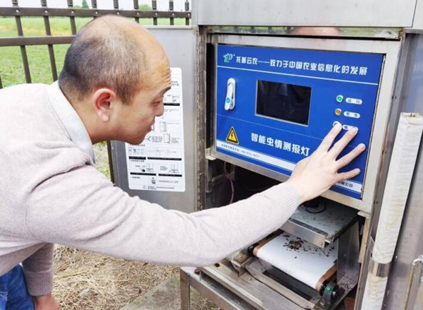 智能蟲(chóng)情測(cè)報(bào)燈