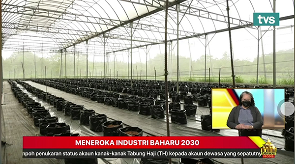 托普云農數字農業(yè)解決方案在馬來西亞的應用場景