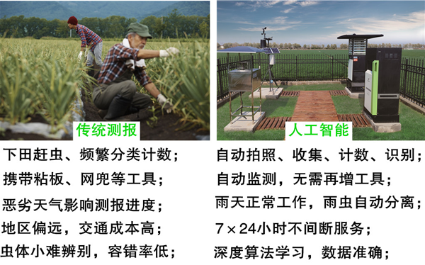 圖像拍拍就能對(duì)農(nóng)作物蟲(chóng)害了如指掌，托普云農(nóng)怎么做到的