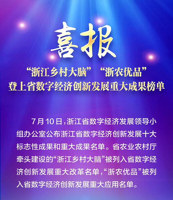 喜報(bào)！“浙江鄉(xiāng)村大腦”登上省數(shù)字經(jīng)濟(jì)創(chuàng)新發(fā)展重大成果榜單