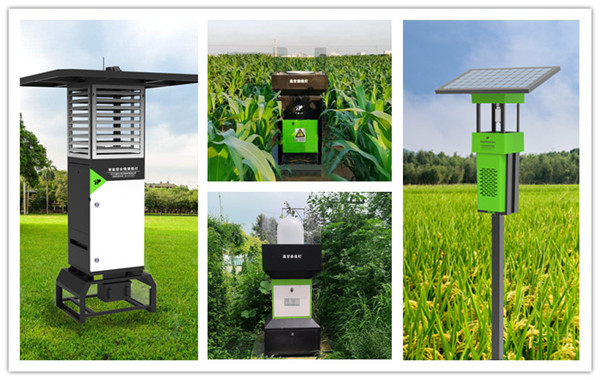 多地迎來草地螟遷飛活躍期,布好防控確保糧食穩(wěn)產(chǎn)增收