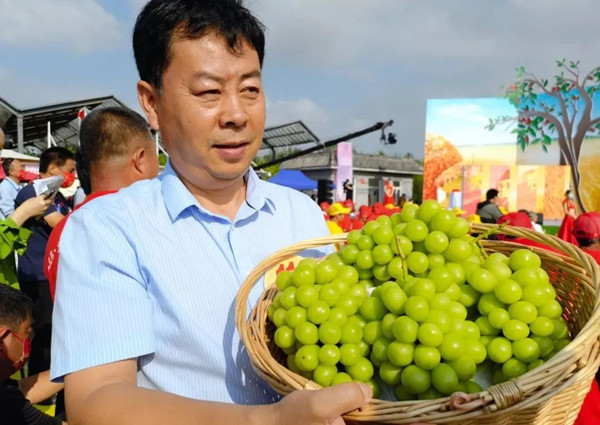 托普云農(nóng)：以創(chuàng)新致匠心，用科技改變傳統(tǒng)農(nóng)業(yè)