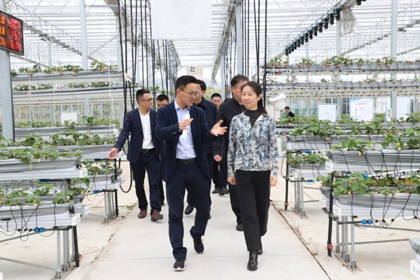 培訓班一行走進示范園，董事長陳渝陽陪同