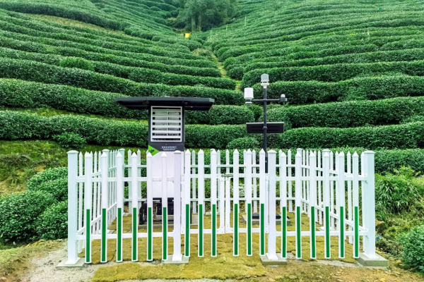 圖：托普云農(nóng)打造的茶園病蟲害監(jiān)測點