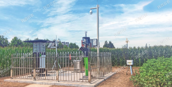 實(shí)時(shí)采集制種基地農(nóng)情、墑情、病情、蟲情數(shù)據(jù)信息